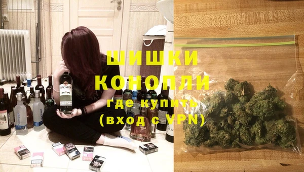 PSILOCYBIN Карпинск