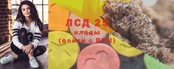 PSILOCYBIN Карпинск