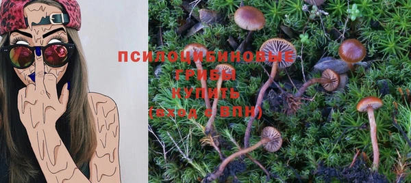 ешки Касимов