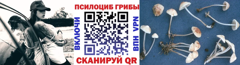 даркнет сайт  Лукоянов  Галлюциногенные грибы мухоморы 